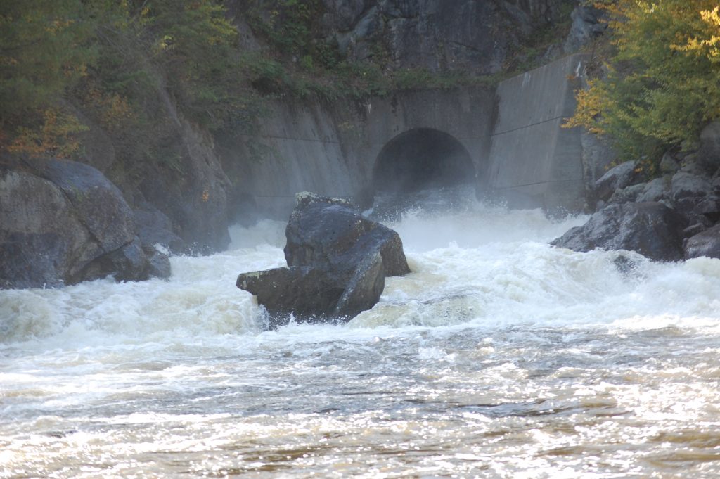 adventures-at-jamaica-state-park-west-river-in-vermont-crab-apple